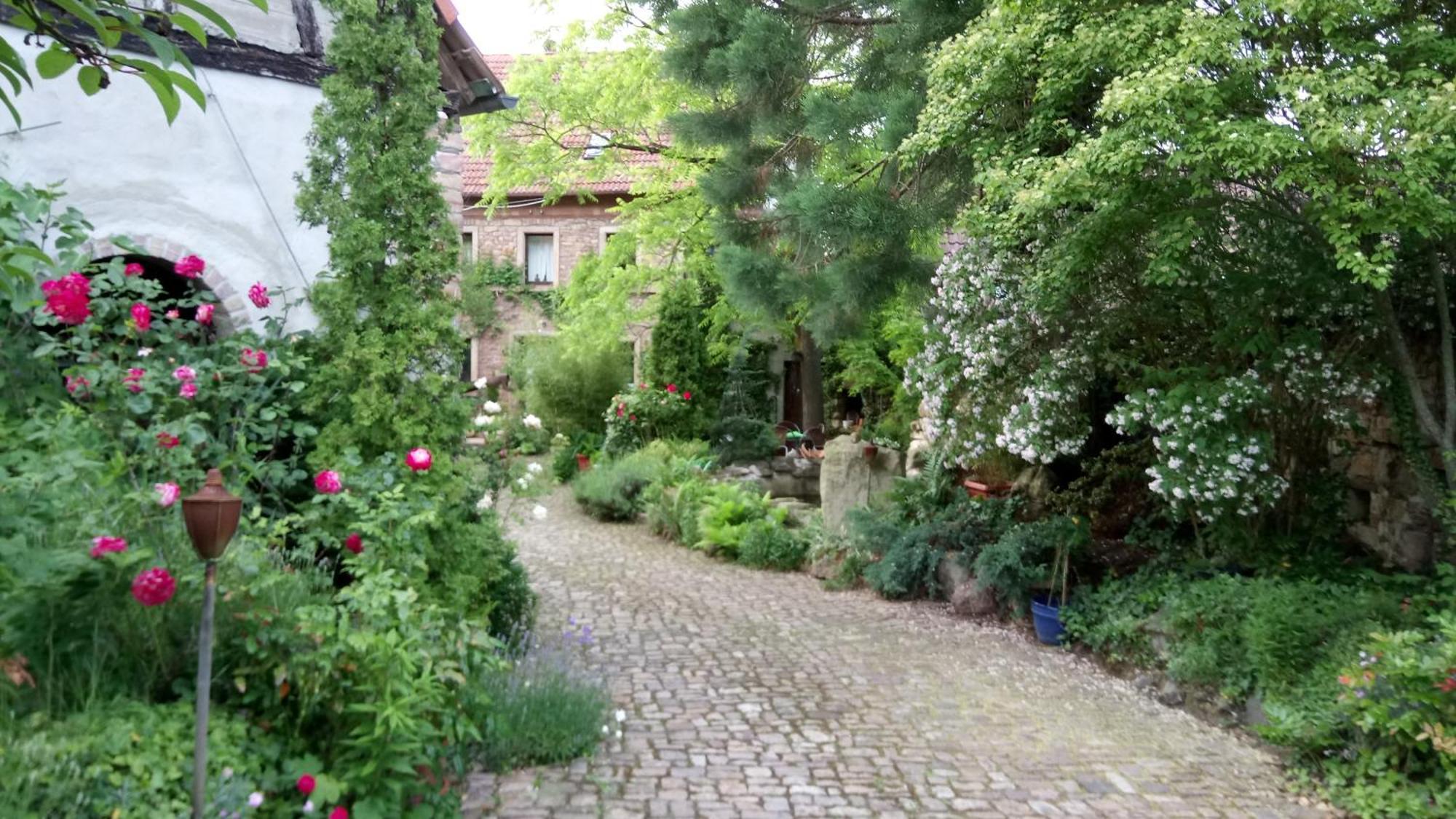 Apartmán "El Patio" Am Donnersberg Dannenfels Exteriér fotografie