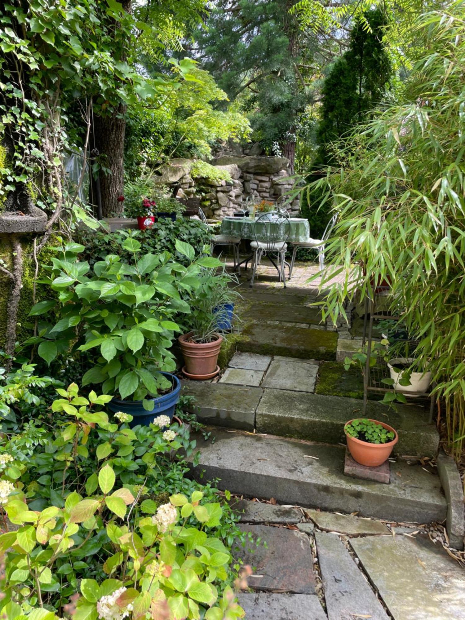 Apartmán "El Patio" Am Donnersberg Dannenfels Exteriér fotografie