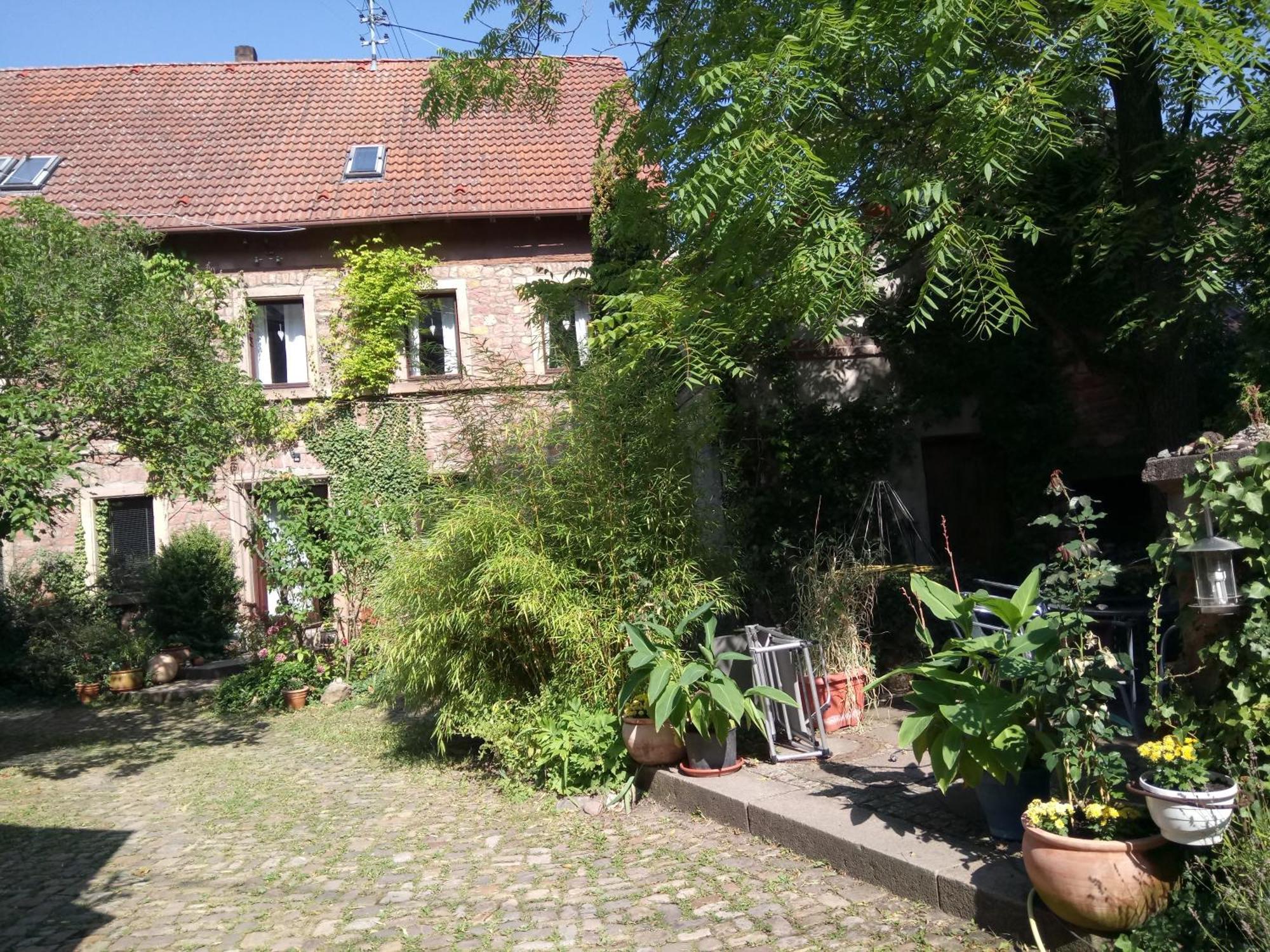 Apartmán "El Patio" Am Donnersberg Dannenfels Exteriér fotografie