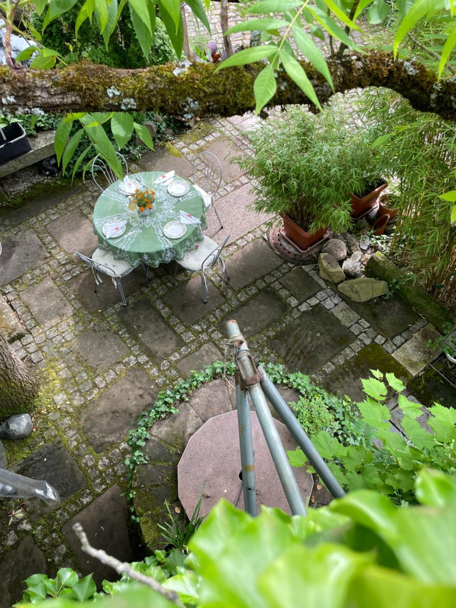 Apartmán "El Patio" Am Donnersberg Dannenfels Exteriér fotografie