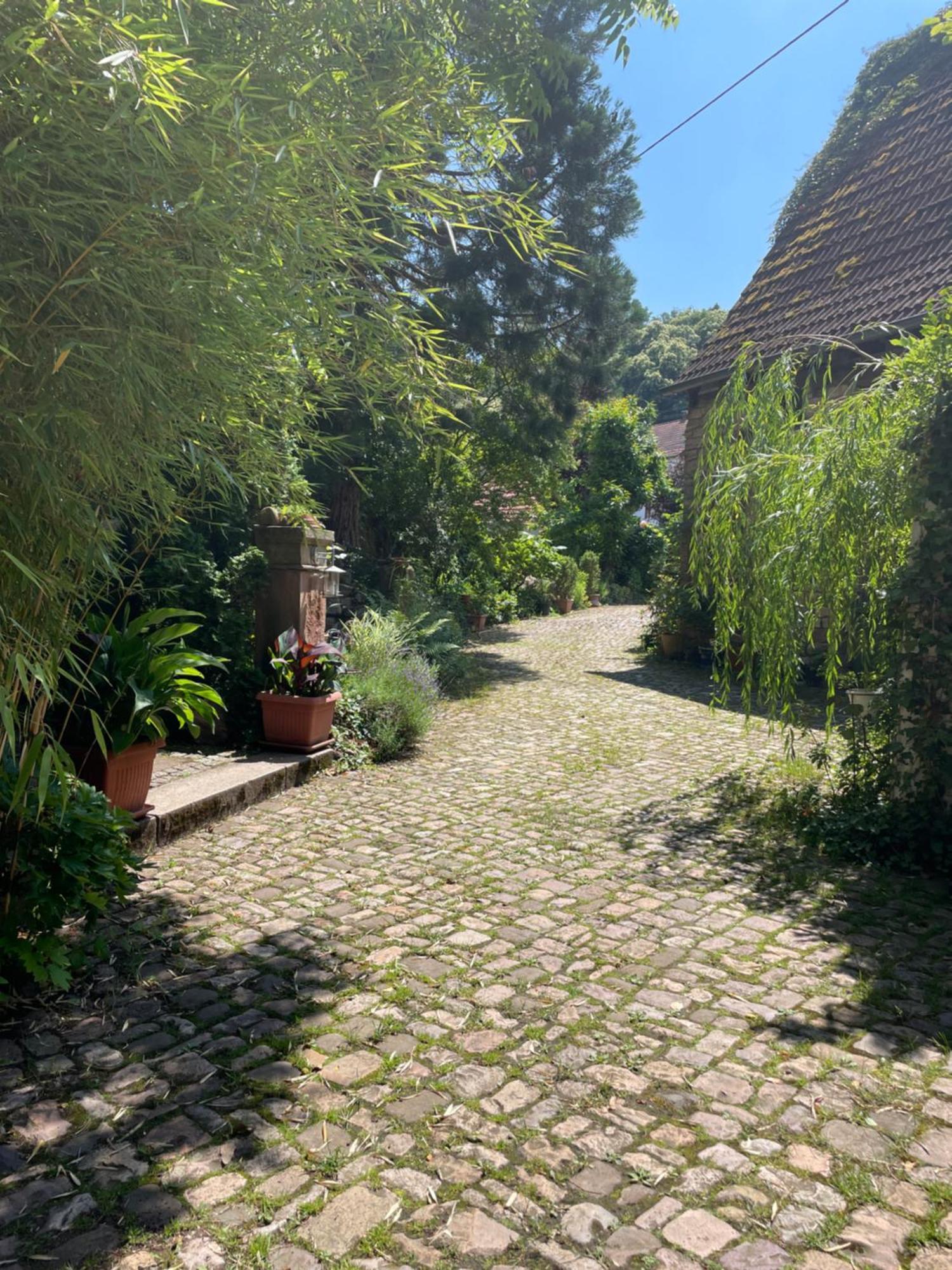 Apartmán "El Patio" Am Donnersberg Dannenfels Exteriér fotografie