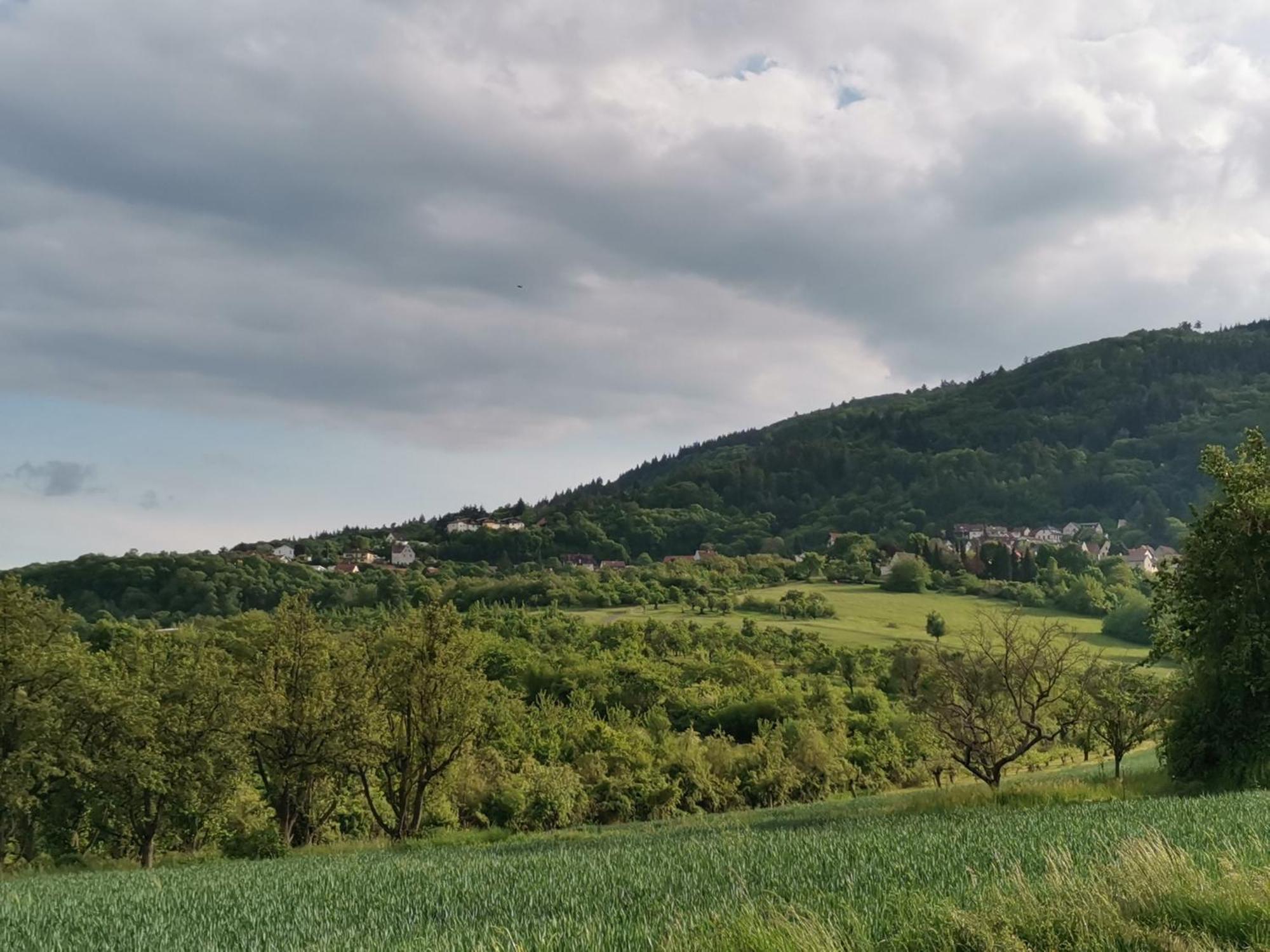Apartmán "El Patio" Am Donnersberg Dannenfels Exteriér fotografie