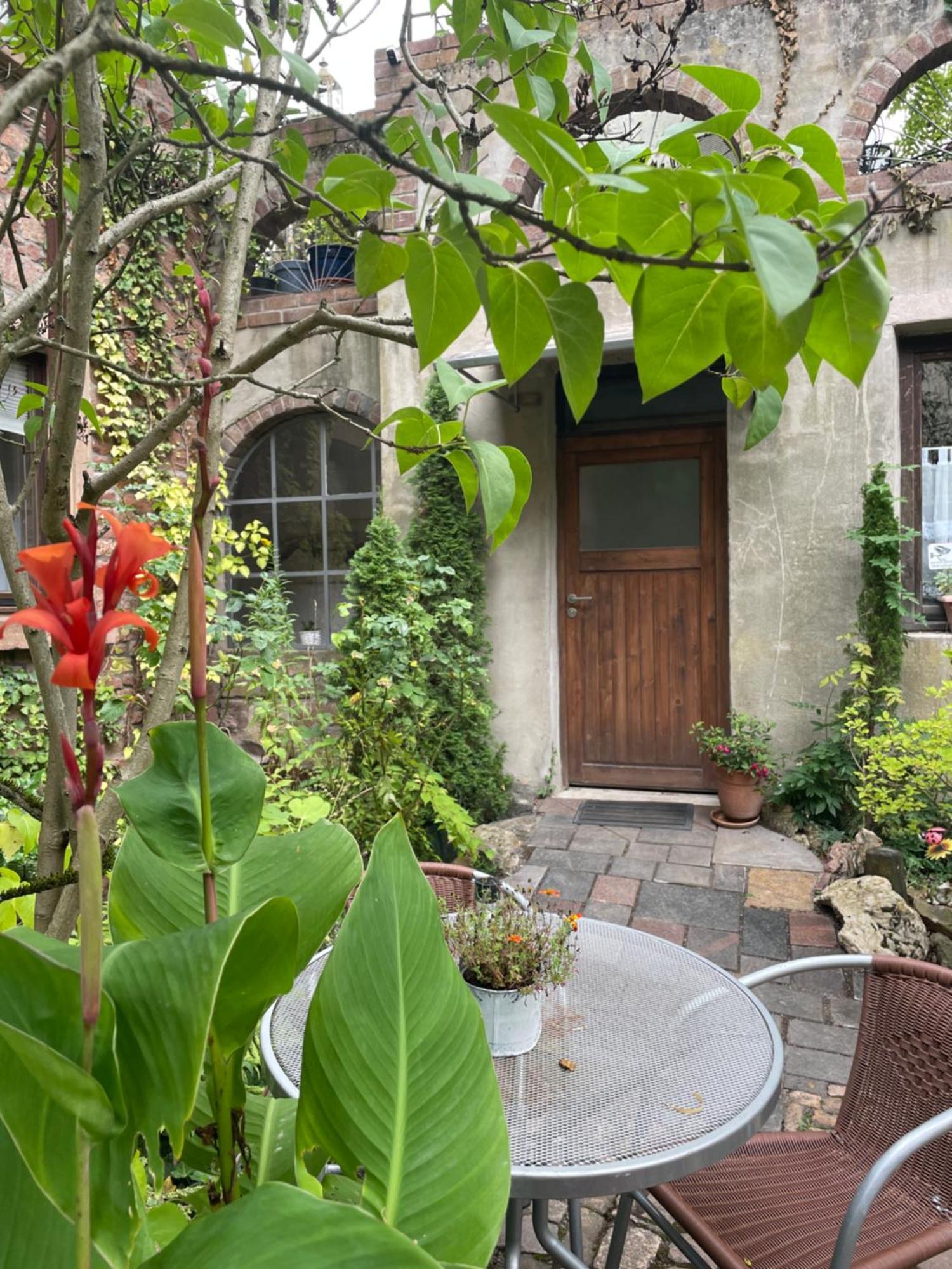 Apartmán "El Patio" Am Donnersberg Dannenfels Exteriér fotografie