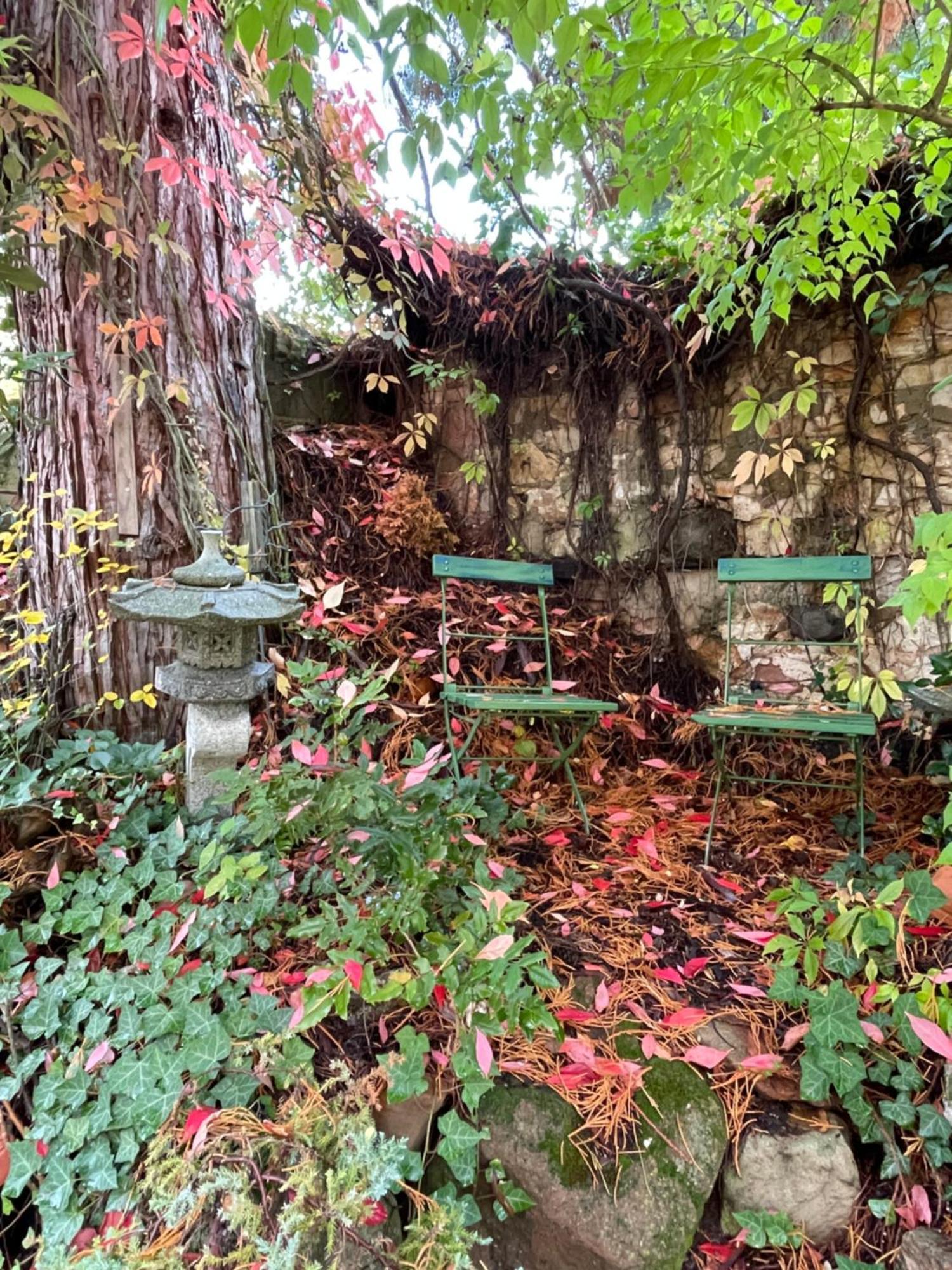 Apartmán "El Patio" Am Donnersberg Dannenfels Exteriér fotografie