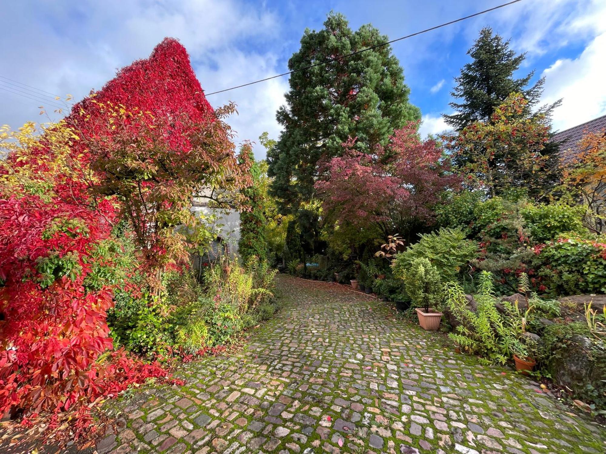Apartmán "El Patio" Am Donnersberg Dannenfels Exteriér fotografie